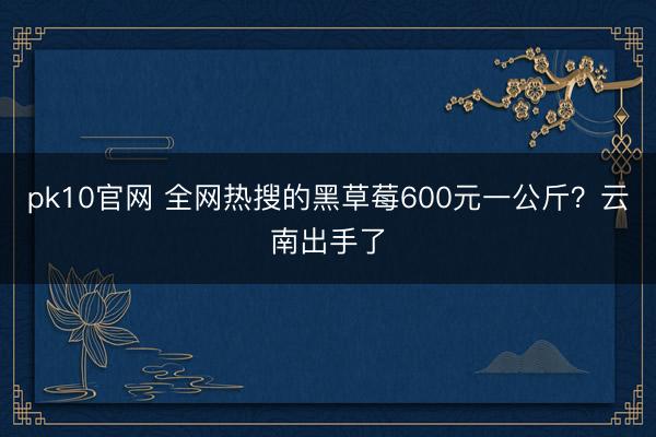 pk10官网 全网热搜的黑草莓600元一公斤?云南出手了