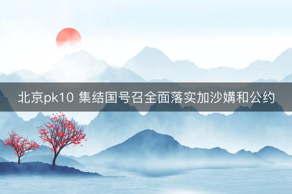 北京pk10 集结国号召全面落实加沙媾和公约
