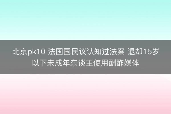 北京pk10 法国国民议认知过法案 退却15岁以下未成年东谈主使用酬酢媒体