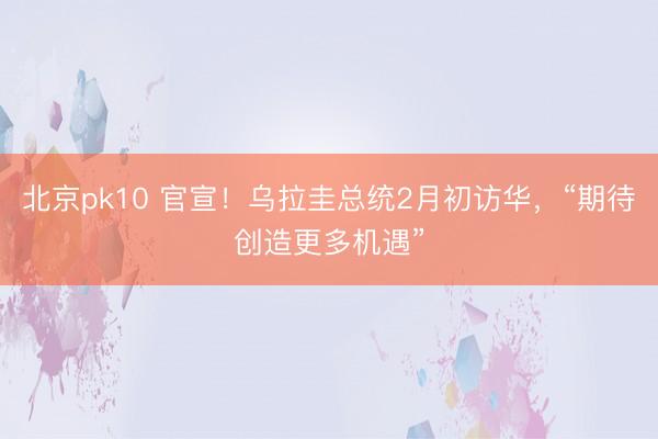北京pk10 官宣！乌拉圭总统2月初访华，“期待创造更多机遇”