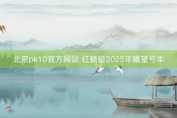 北京pk10官方网站 红蜻蜓2025年瞻望亏本