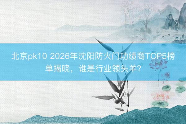北京pk10 2026年沈阳防火门功绩商TOP5榜单揭晓，谁是行业领头羊？