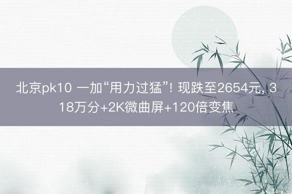 北京pk10 一加“用力过猛”! 现跌至2654元， 318万分+2K微曲屏+120倍变焦