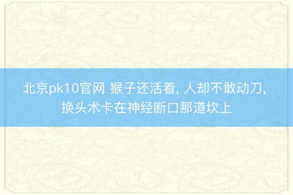 北京pk10官网 猴子还活着， 人却不敢动刀， 换头术卡在神经断口那道坎上