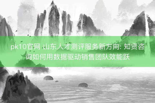 pk10官网 山东人才测评服务新方向: 知贤咨询如何用数据驱动销售团队效能跃