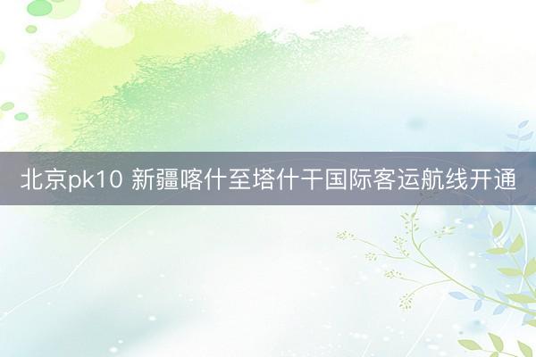 北京pk10 新疆喀什至塔什干国际客运航线开通
