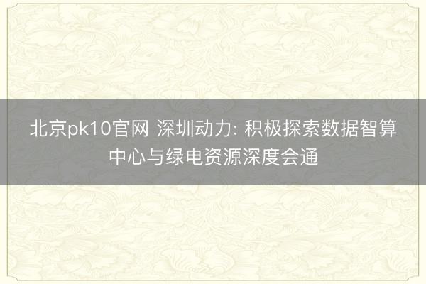 北京pk10官网 深圳动力: 积极探索数据智算中心与绿电资源深度会通