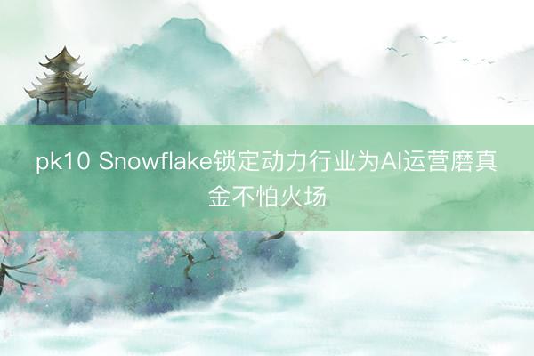 pk10 Snowflake锁定动力行业为AI运营磨真金不怕火场
