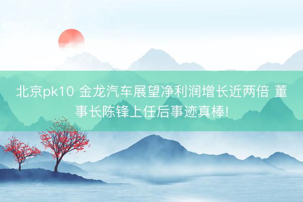 北京pk10 金龙汽车展望净利润增长近两倍 董事长陈锋上任后事迹真棒!