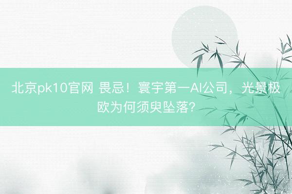 北京pk10官网 畏忌！寰宇第一AI公司，光景极欧为何须臾坠落？