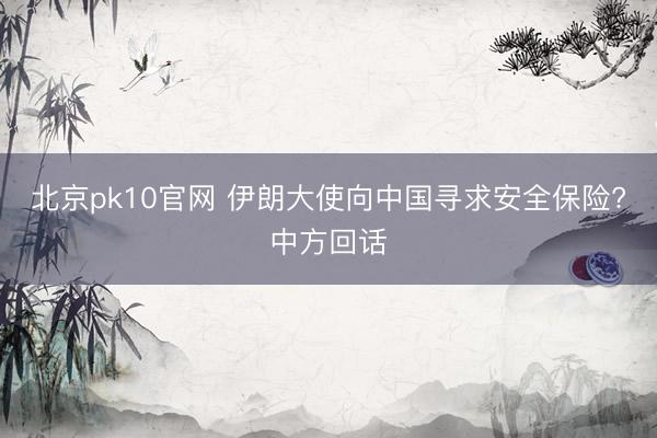 北京pk10官网 伊朗大使向中国寻求安全保险?中方回话