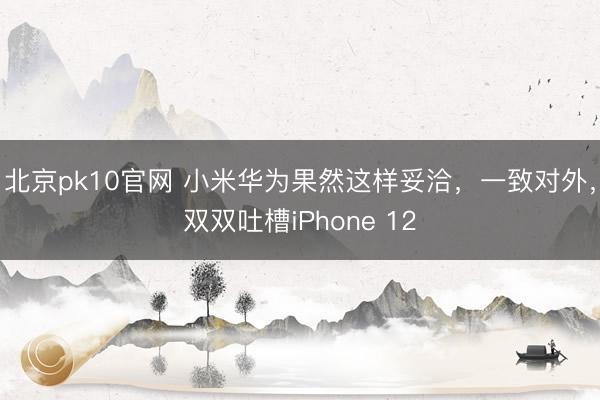 北京pk10官网 小米华为果然这样妥洽,一致对外,双双吐槽iPhone 12