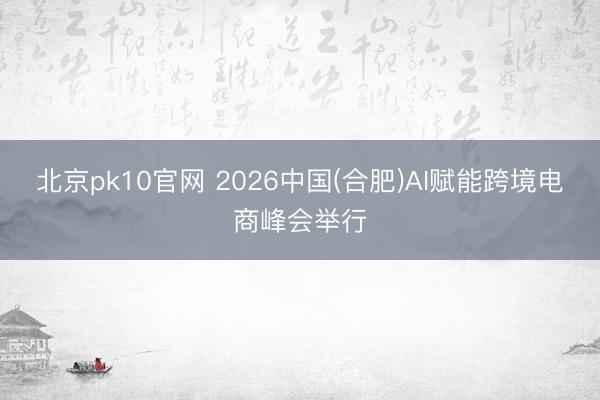 北京pk10官网 2026中国(合肥)AI赋能跨境电商峰会举行