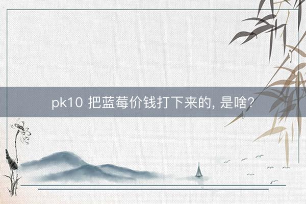 pk10 把蓝莓价钱打下来的， 是啥?