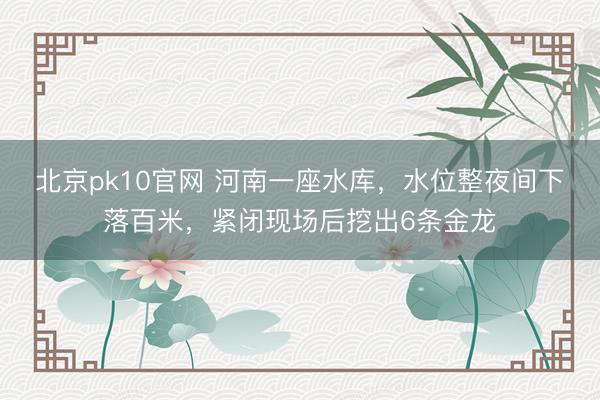 北京pk10官网 河南一座水库，水位整夜间下落百米，紧闭现场后挖出6条金龙
