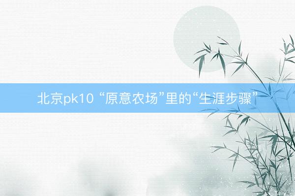 北京pk10 “原意农场”里的“生涯步骤”