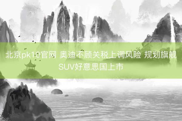 北京pk10官网 奥迪不顾关税上调风险 规划旗舰SUV好意思国上市