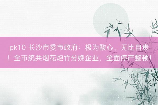 pk10 长沙市委市政府：极为酸心、无比自责！全市统共烟花炮竹分娩企业，全面停产整顿！