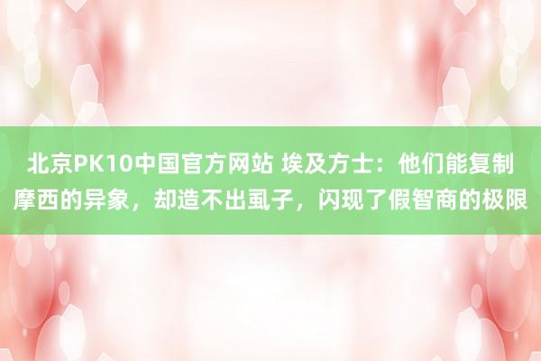 北京PK10中国官方网站 埃及方士：他们能复制摩西的异象，却造不出虱子，闪现了假智商的极限