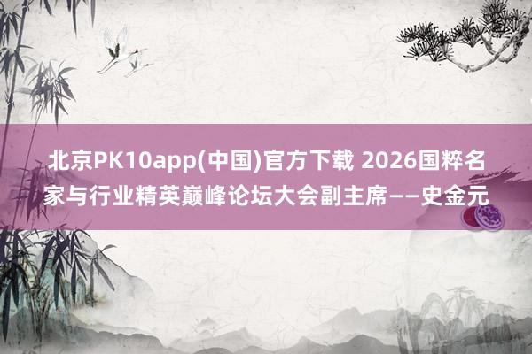 北京PK10app(中国)官方下载 2026国粹名家与行业精英巅峰论坛大会副主席——史金元