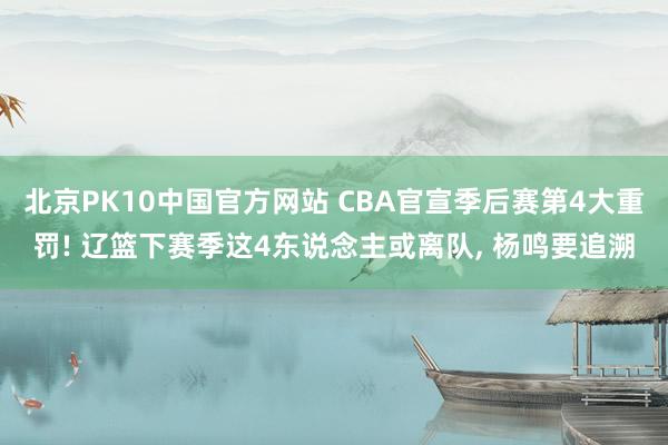 北京PK10中国官方网站 CBA官宣季后赛第4大重罚! 辽篮下赛季这4东说念主或离队， 杨鸣要追溯