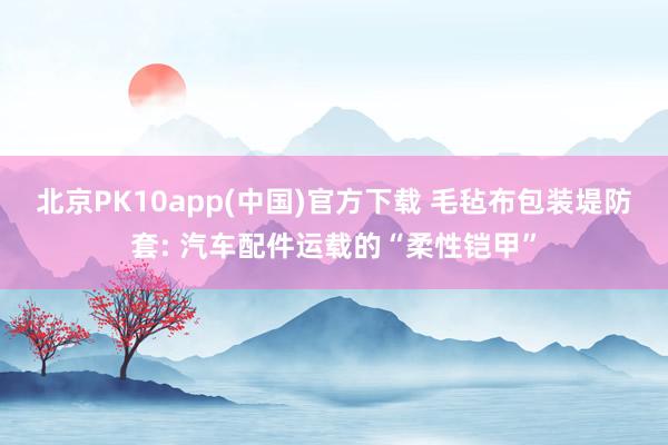 北京PK10app(中国)官方下载 毛毡布包装堤防套: 汽车配件运载的“柔性铠甲”