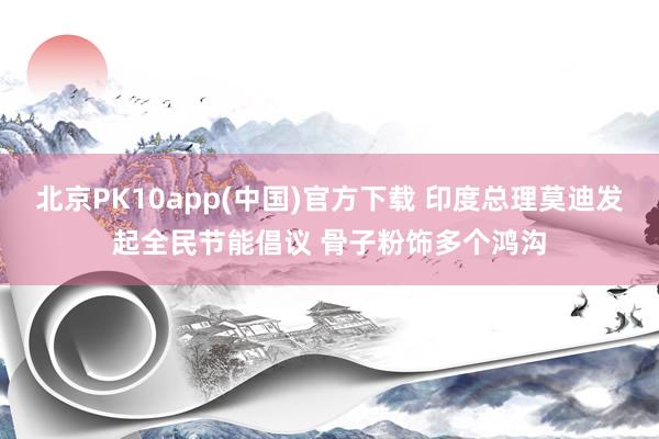 北京PK10app(中国)官方下载 印度总理莫迪发起全民节能倡议 骨子粉饰多个鸿沟