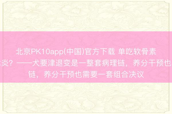 北京PK10app(中国)官方下载 单吃软骨素就念念挡住骨要津炎？——犬要津退变是一整套病理链，养分干预也需要一套组合决议