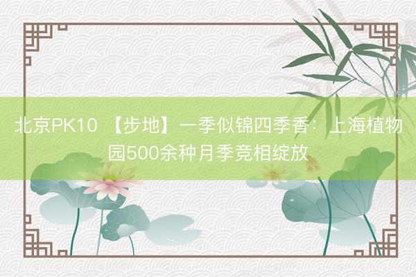 北京PK10 【步地】一季似锦四季香：上海植物园500余种月季竞相绽放