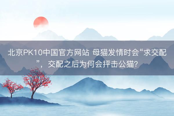 北京PK10中国官方网站 母猫发情时会“求交配”，交配之后为何会抨击公猫？