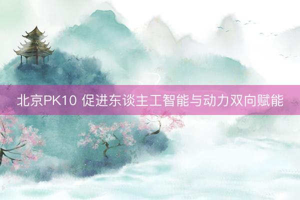北京PK10 促进东谈主工智能与动力双向赋能