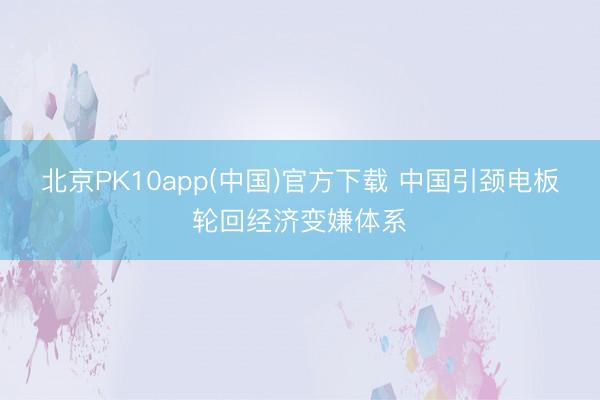 北京PK10app(中国)官方下载 中国引颈电板轮回经济变嫌体系