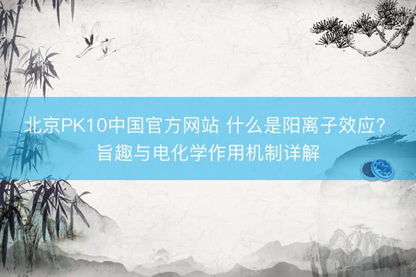 北京PK10中国官方网站 什么是阳离子效应? 旨趣与电化学作用机制详解