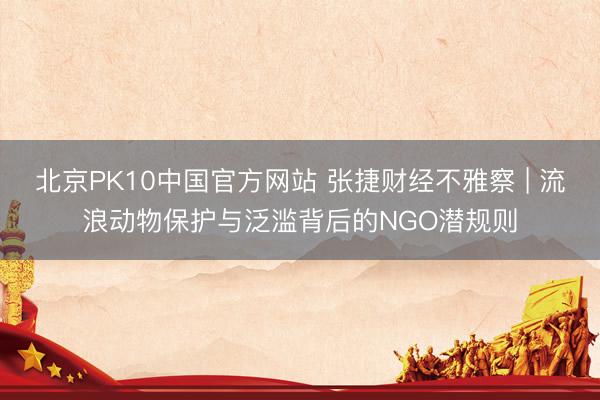 北京PK10中国官方网站 张捷财经不雅察 | 流浪动物保护与泛滥背后的NGO潜规则