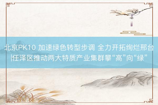 北京PK10 加速绿色转型步调 全力开拓绚烂邢台|任泽区推动两大特质产业集群攀“高”向“绿”
