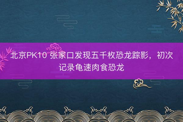 北京PK10 张家口发现五千枚恐龙踪影，初次记录龟速肉食恐龙