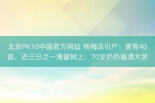 北京PK10中国官方网站 杨梅汲引户：家有40亩，近三分之一淹留树上，70岁奶奶崩溃大哭
