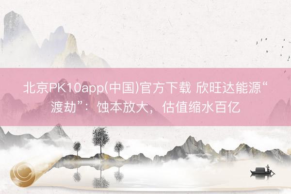 北京PK10app(中国)官方下载 欣旺达能源“渡劫”：蚀本放大，估值缩水百亿