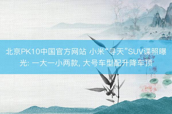 北京PK10中国官方网站 小米“寻天”SUV谍照曝光: 一大一小两款， 大号车型配升降车顶