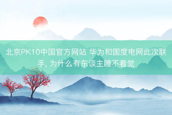 北京PK10中国官方网站 华为和国度电网此次联手， 为什么有东谈主睡不着觉