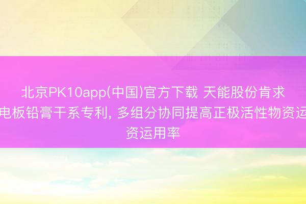 北京PK10app(中国)官方下载 天能股份肯求铅蓄电板铅膏干系专利， 多组分协同提高正极活性物资运用率